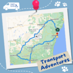 Coastal Critter Carriers Interstate Pet Transport Sydney to Melbourne Safe Reliable Pet Travel Service