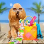 Pet Holiday Transport NSW QLD VIC Door to Door Stress-Free Pet Airline Travel